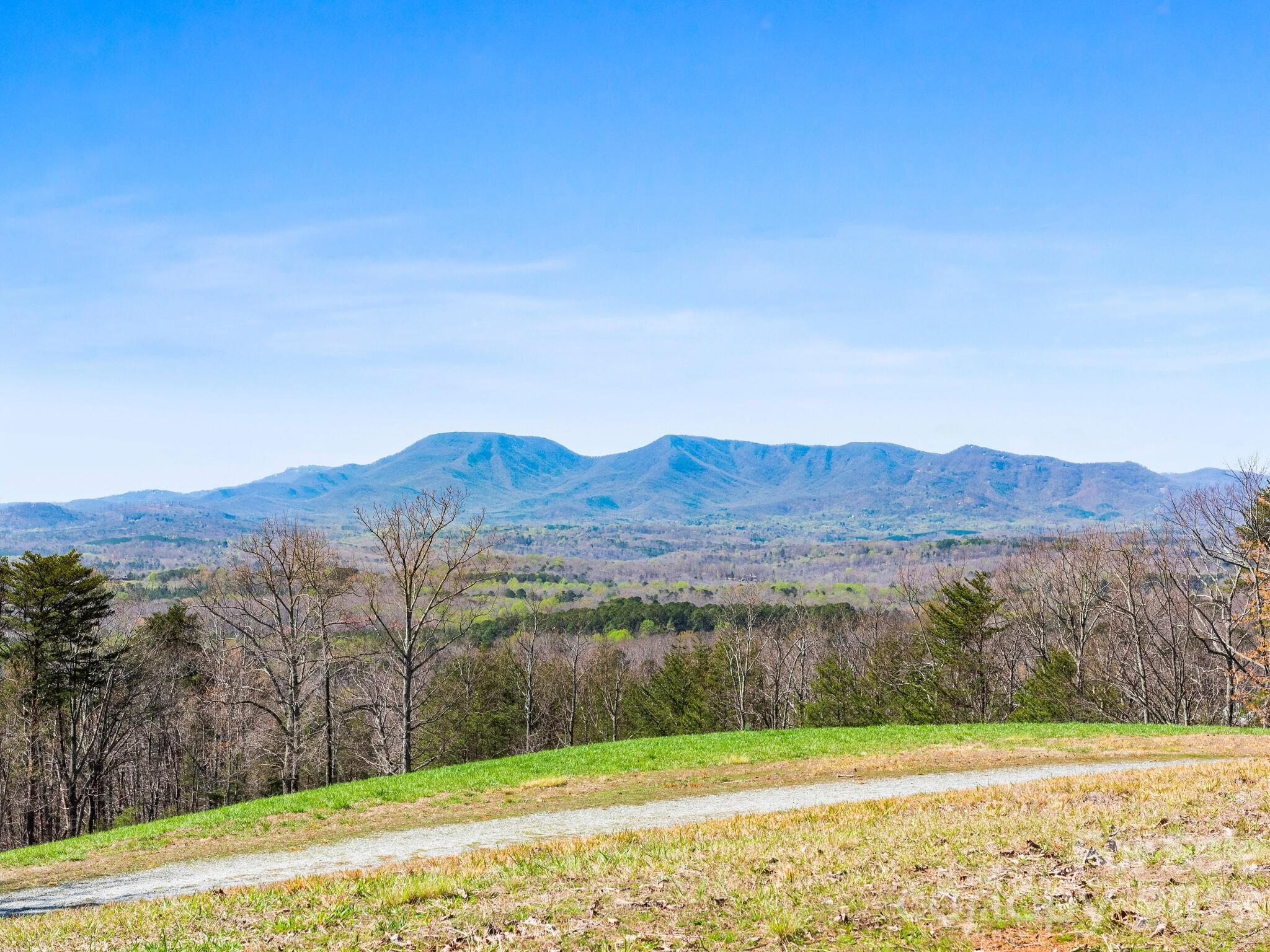 25 Preservation Trail Columbus NC 28722