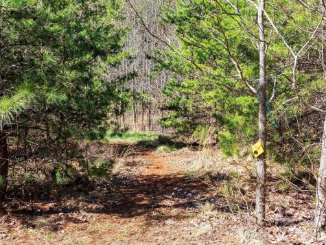 25 Preservation Trail Columbus NC 28722