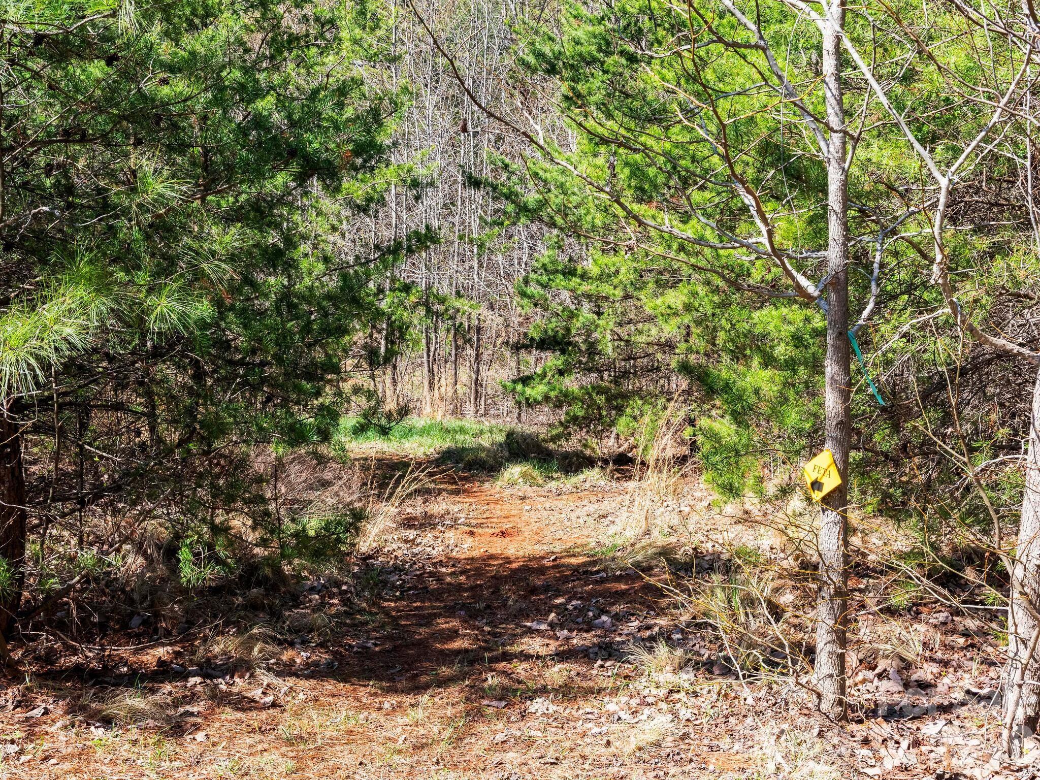 25 Preservation Trail Columbus NC 28722