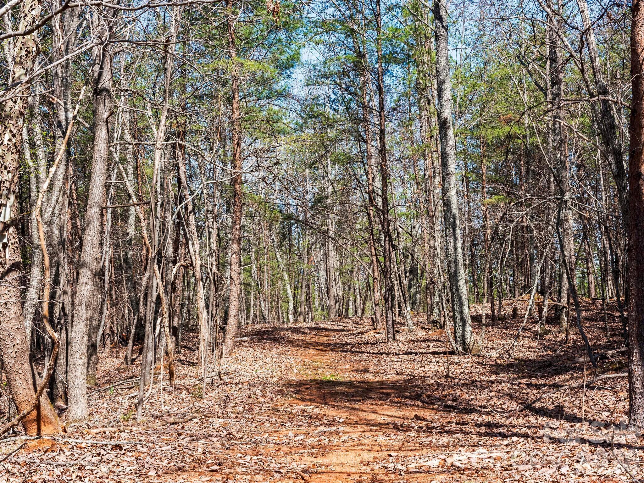 25 Preservation Trail Columbus NC 28722