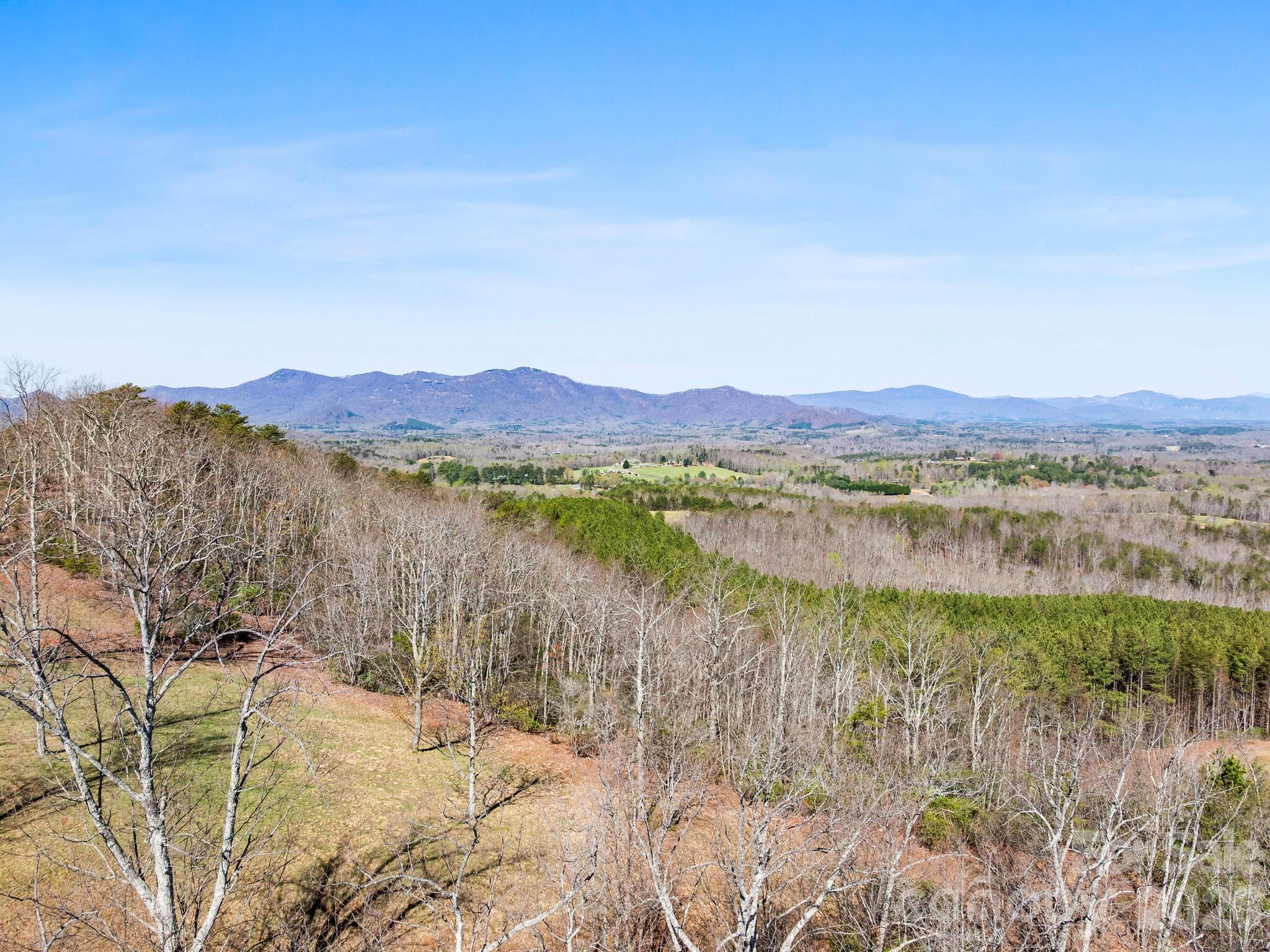 25 Preservation Trail Columbus NC 28722