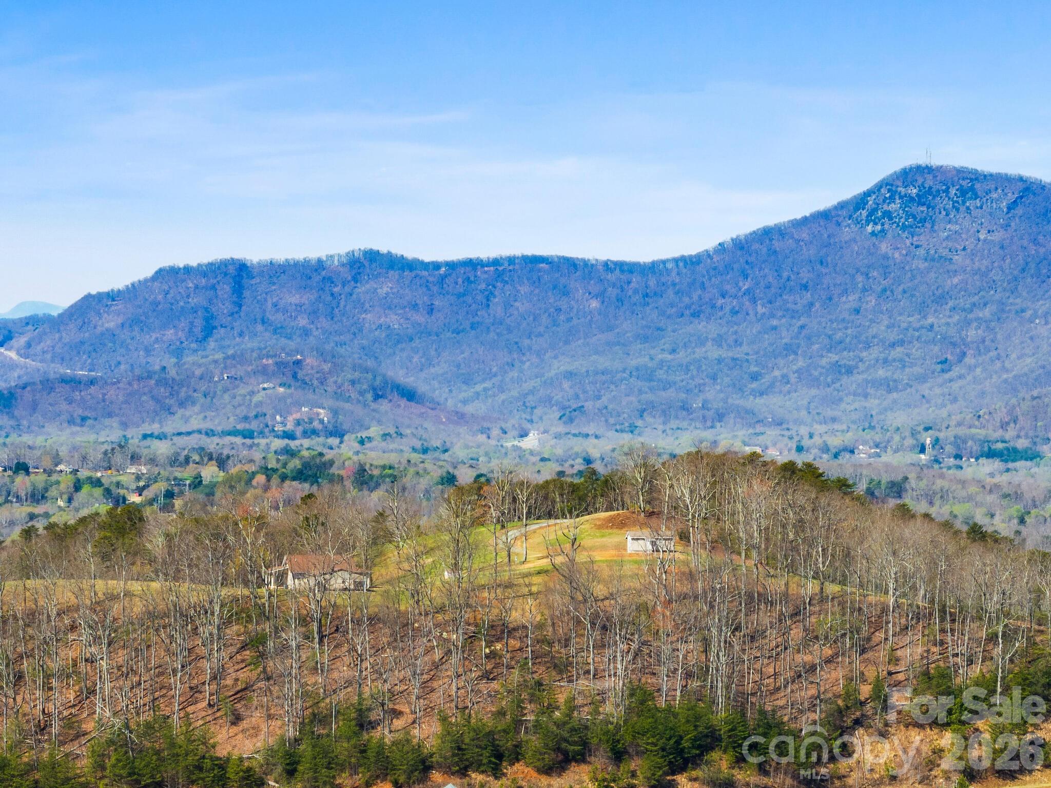 25 Preservation Trail Columbus NC 28722