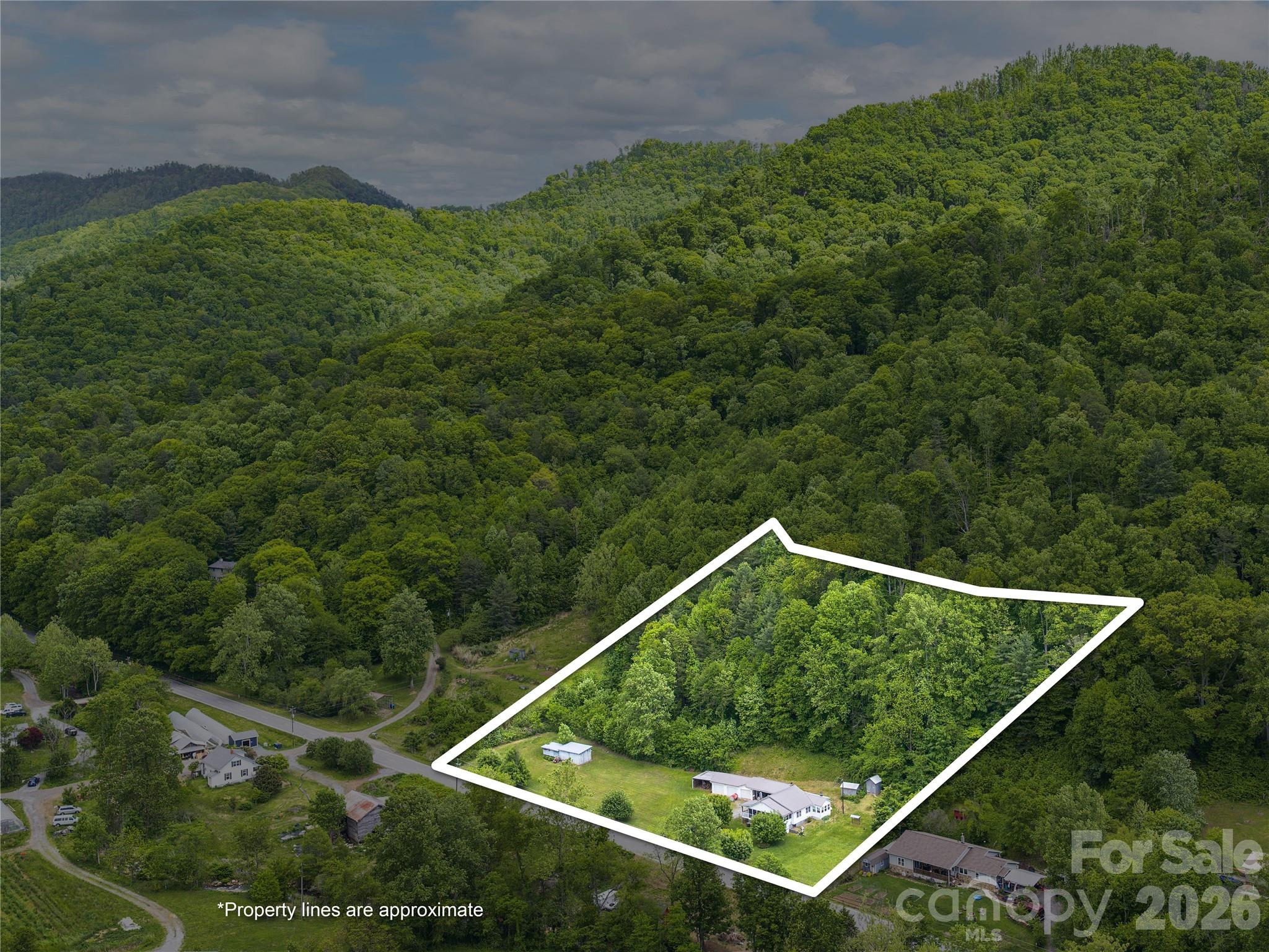 379 N Fork Road Barnardsville NC 28709