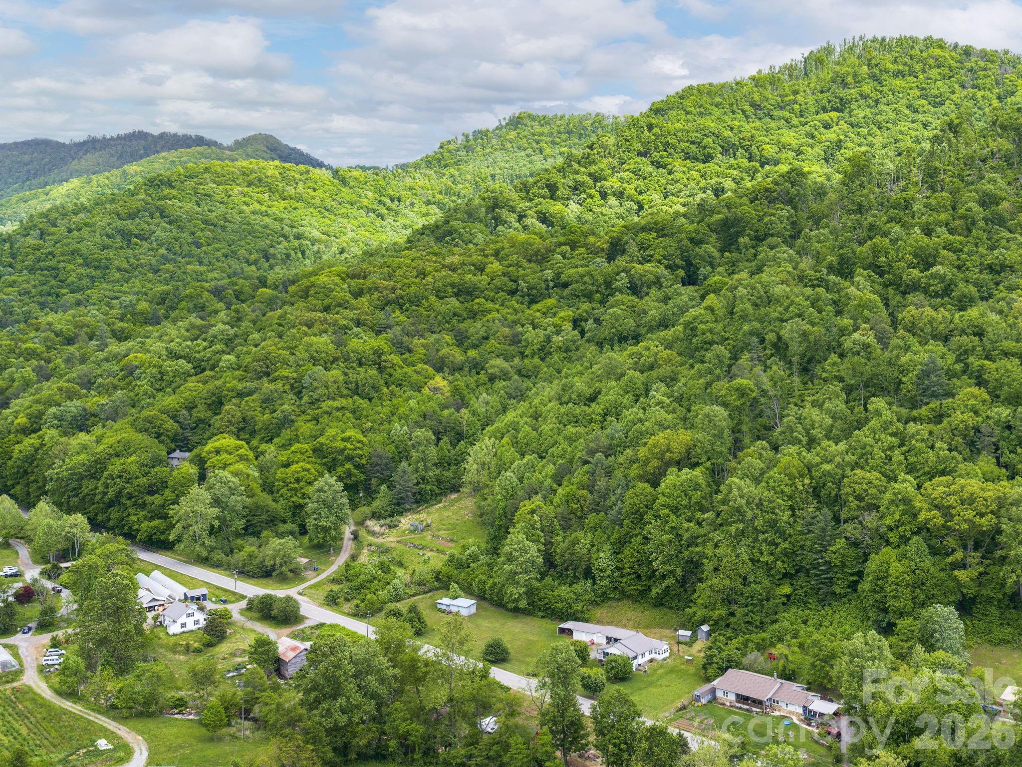 379 N Fork Road Barnardsville NC 28709