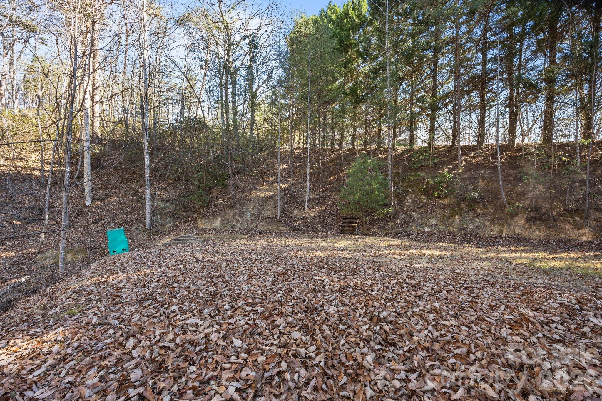 102 Scotts Cove Road Nebo NC 28761