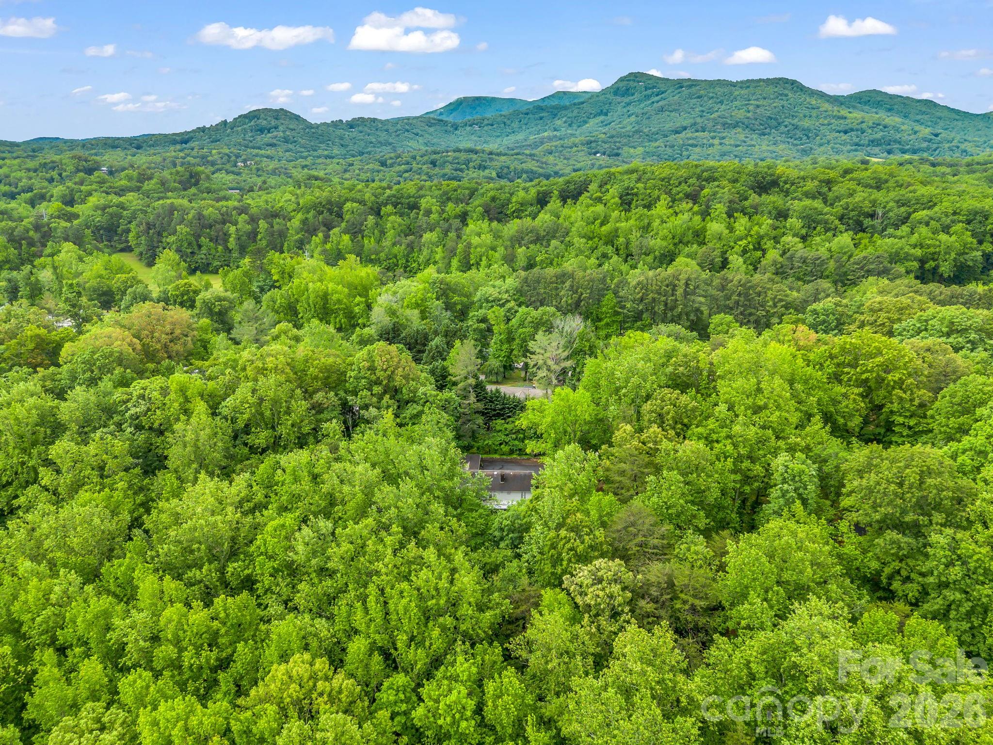 57 Tate Lane Tryon NC 28782