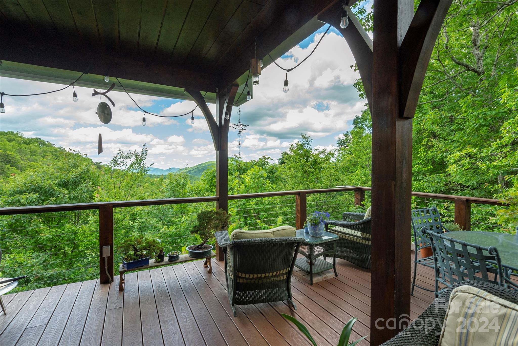 85 Burnt Ridge Trail Black Mountain NC 28711