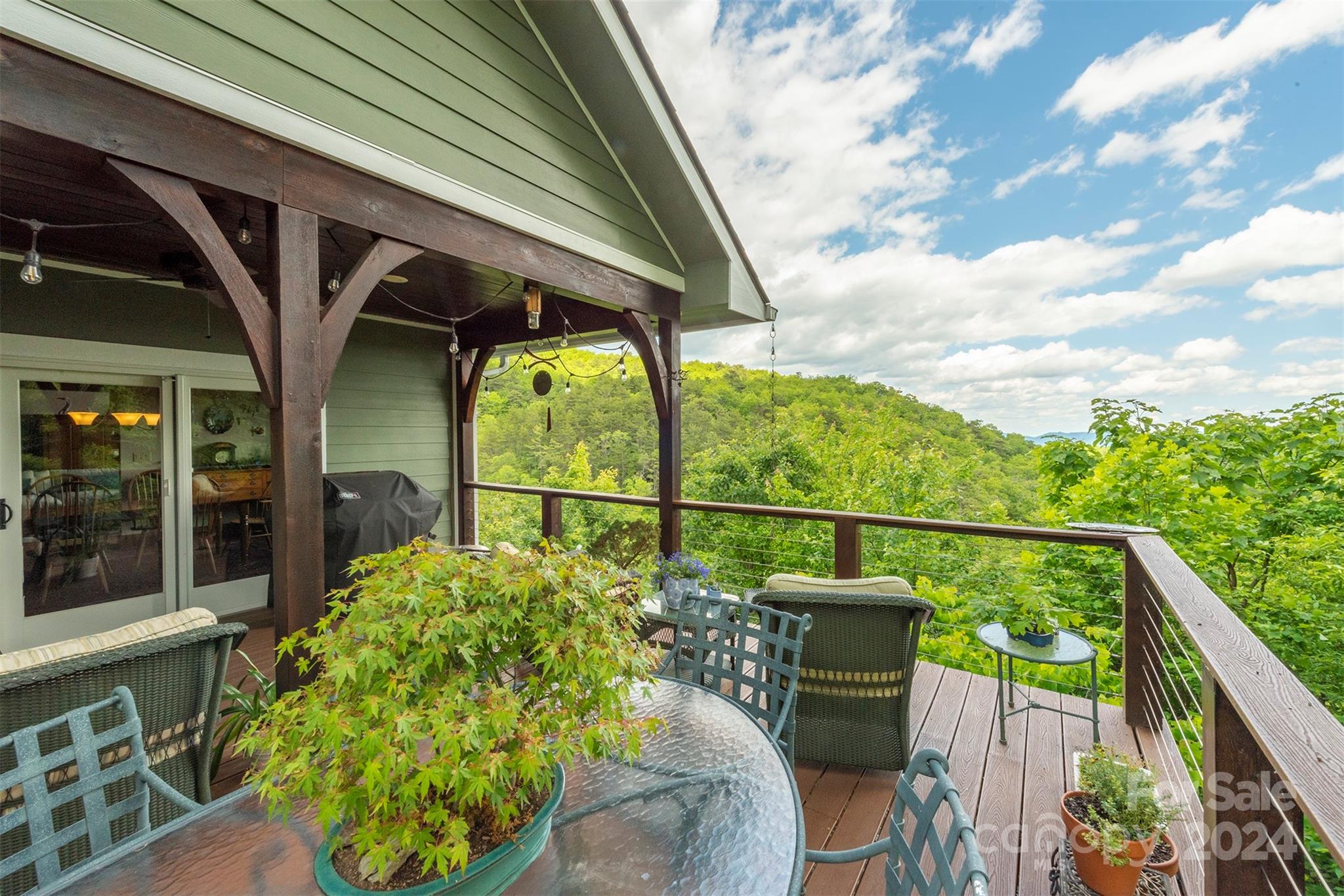 85 Burnt Ridge Trail Black Mountain NC 28711