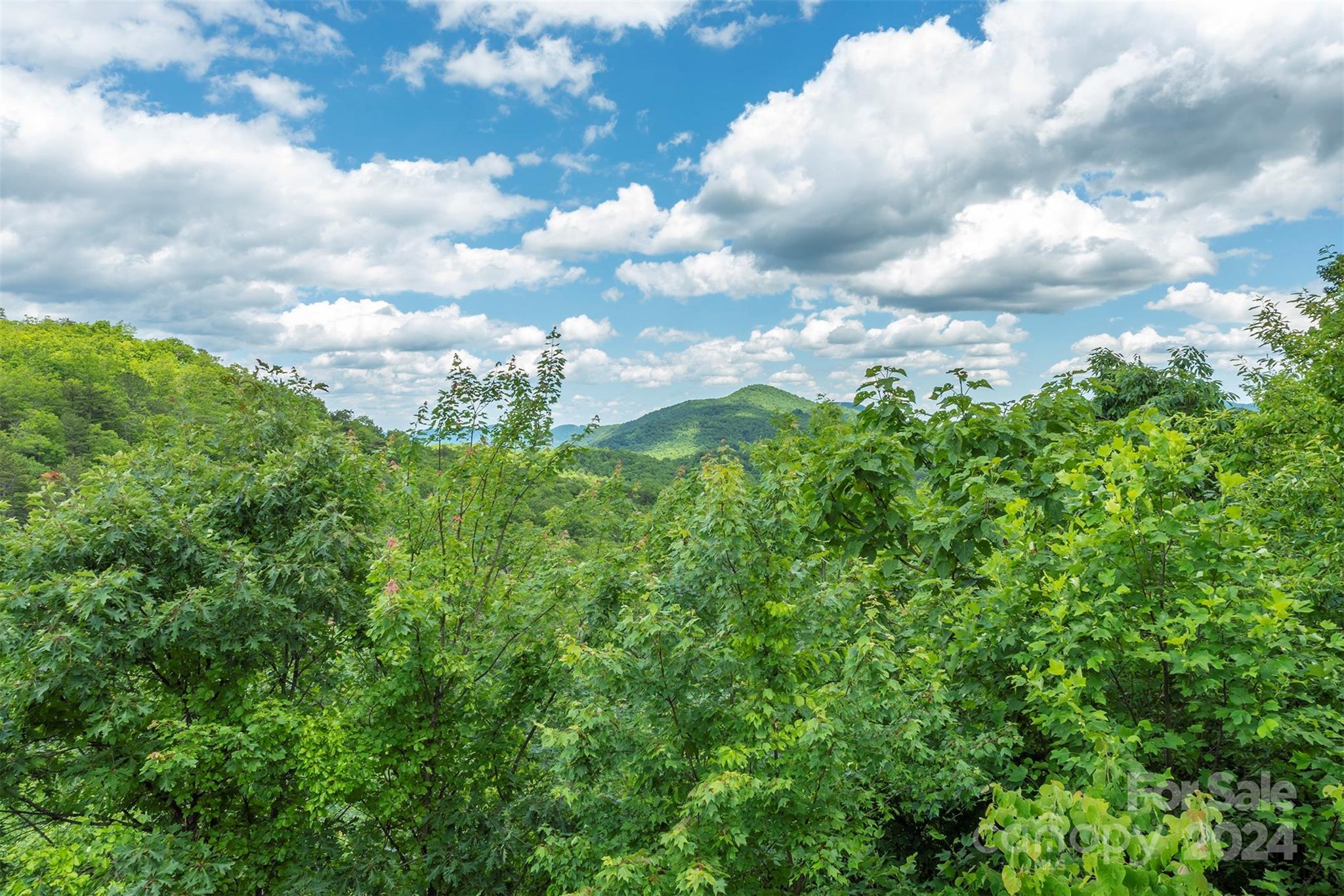 85 Burnt Ridge Trail Black Mountain NC 28711