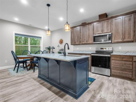 10305 Green River Cove Road Saluda NC 28773