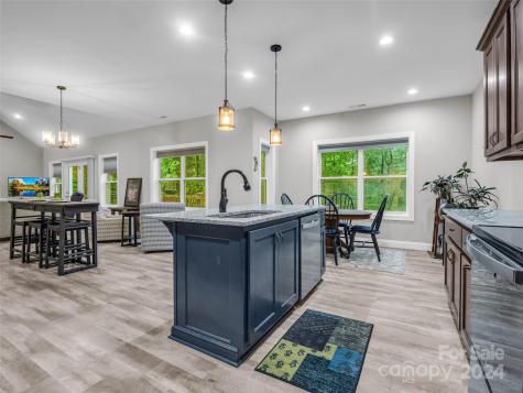 10305 Green River Cove Road Saluda NC 28773