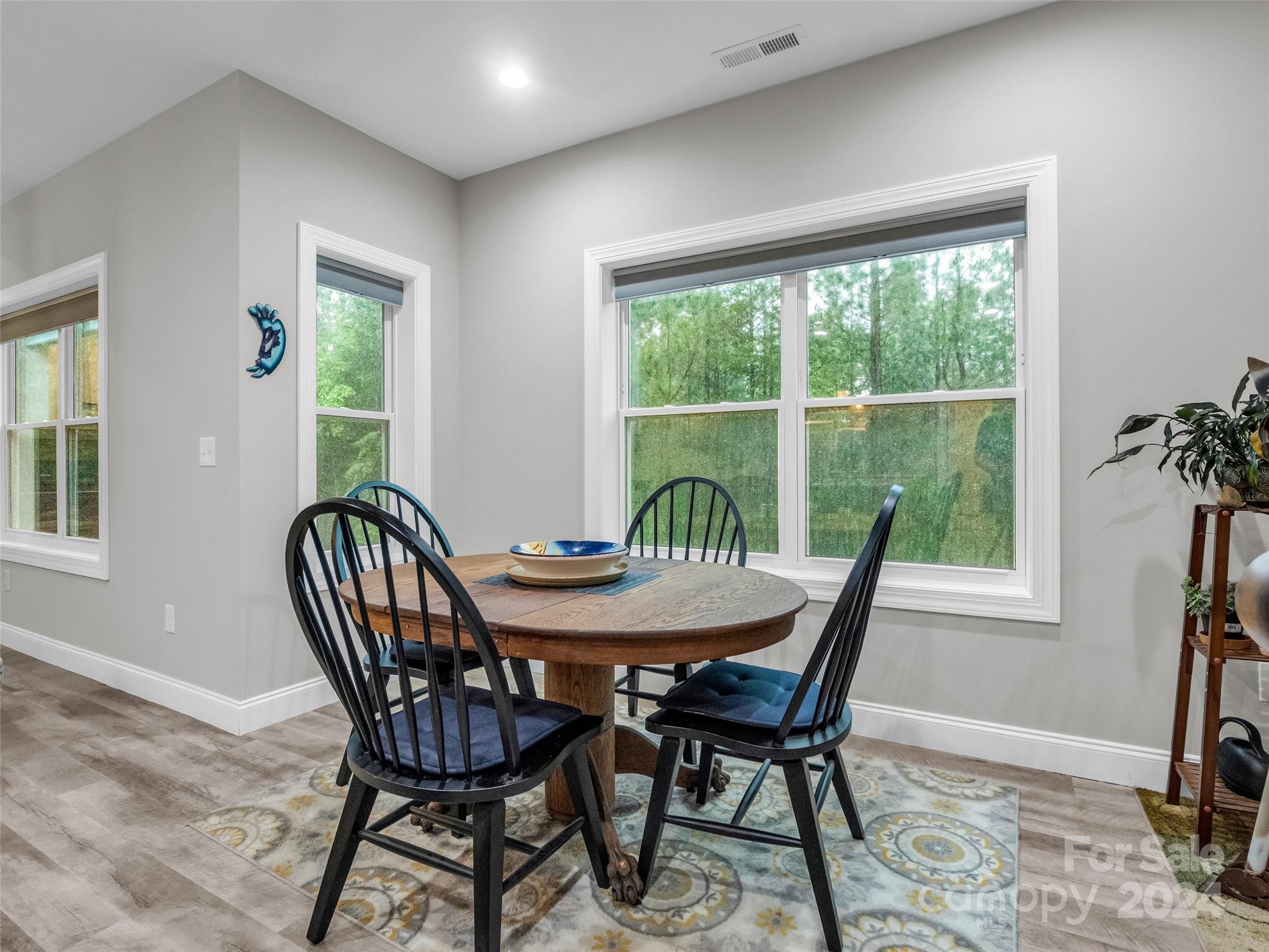 10305 Green River Cove Road Saluda NC 28773