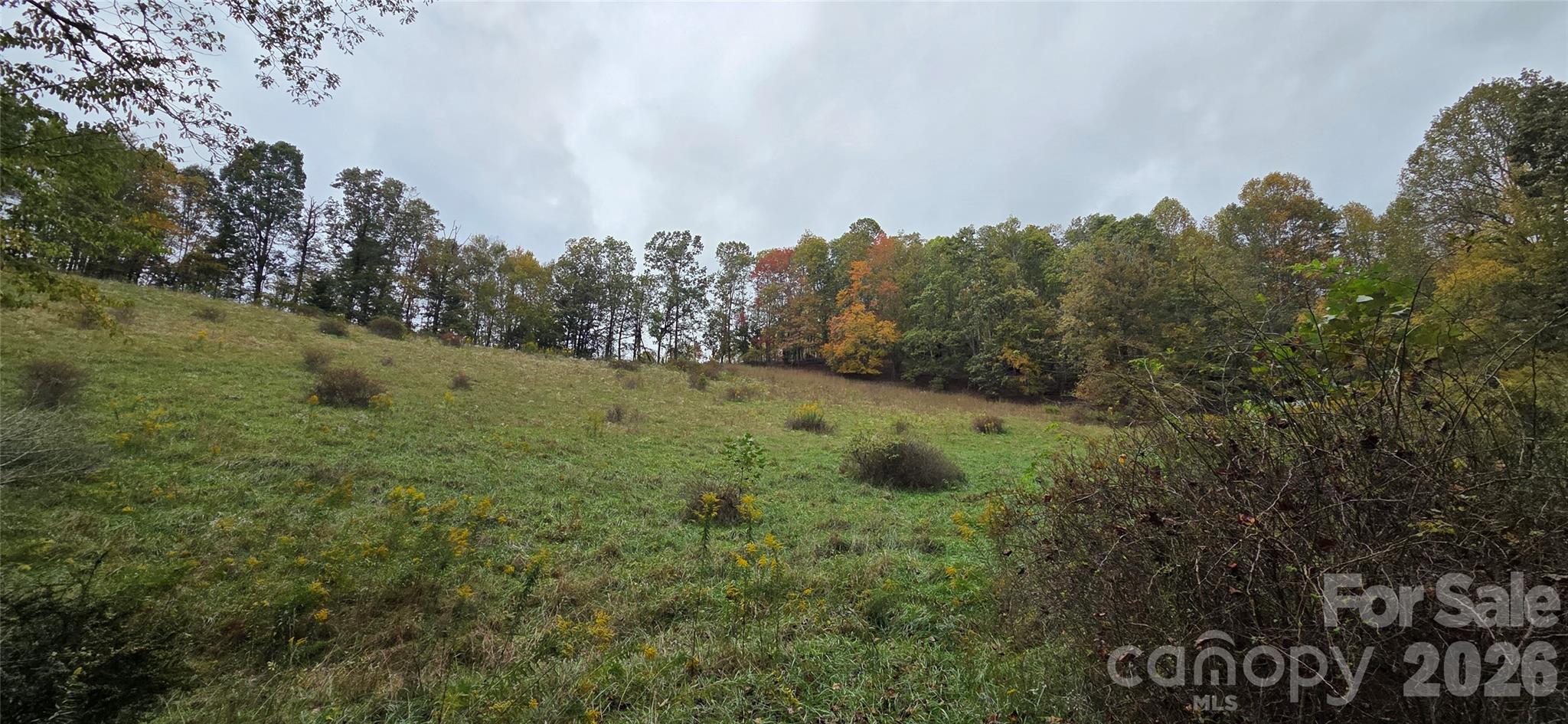 214 Old Dale Road Spruce Pine NC 28777