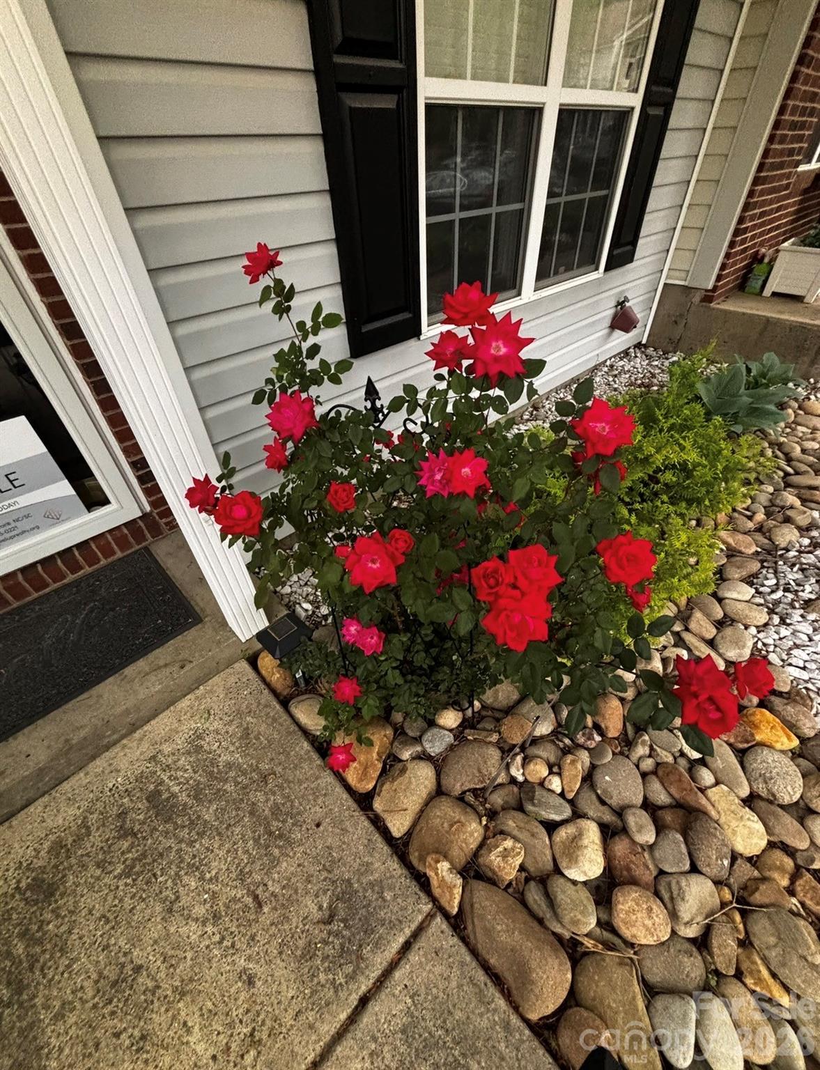 8376 Rudolph Road Charlotte NC 28216