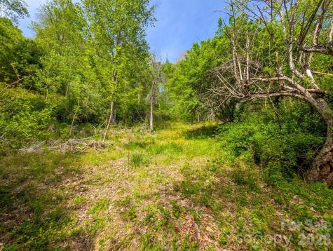 314 Byrd Creek Road Green Mountain NC 28740