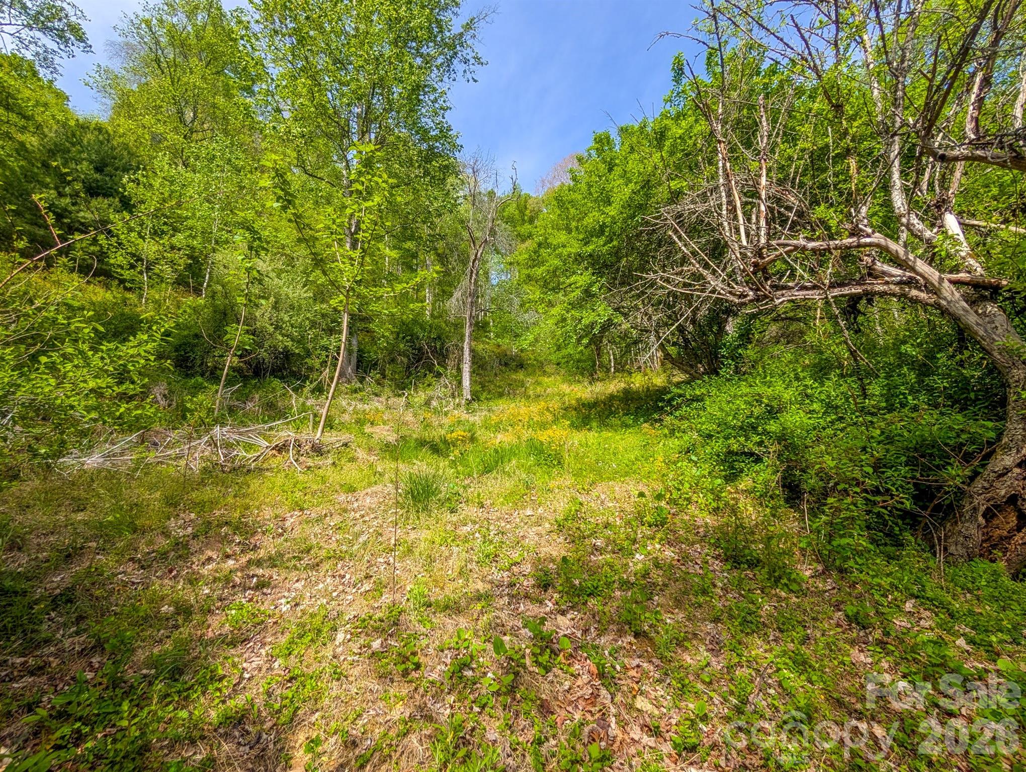314 Byrd Creek Road Green Mountain NC 28740