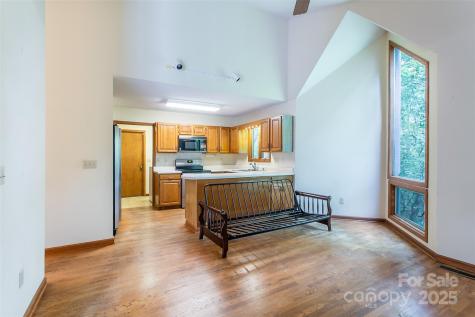 47 Tsitsi Court Brevard NC 28712