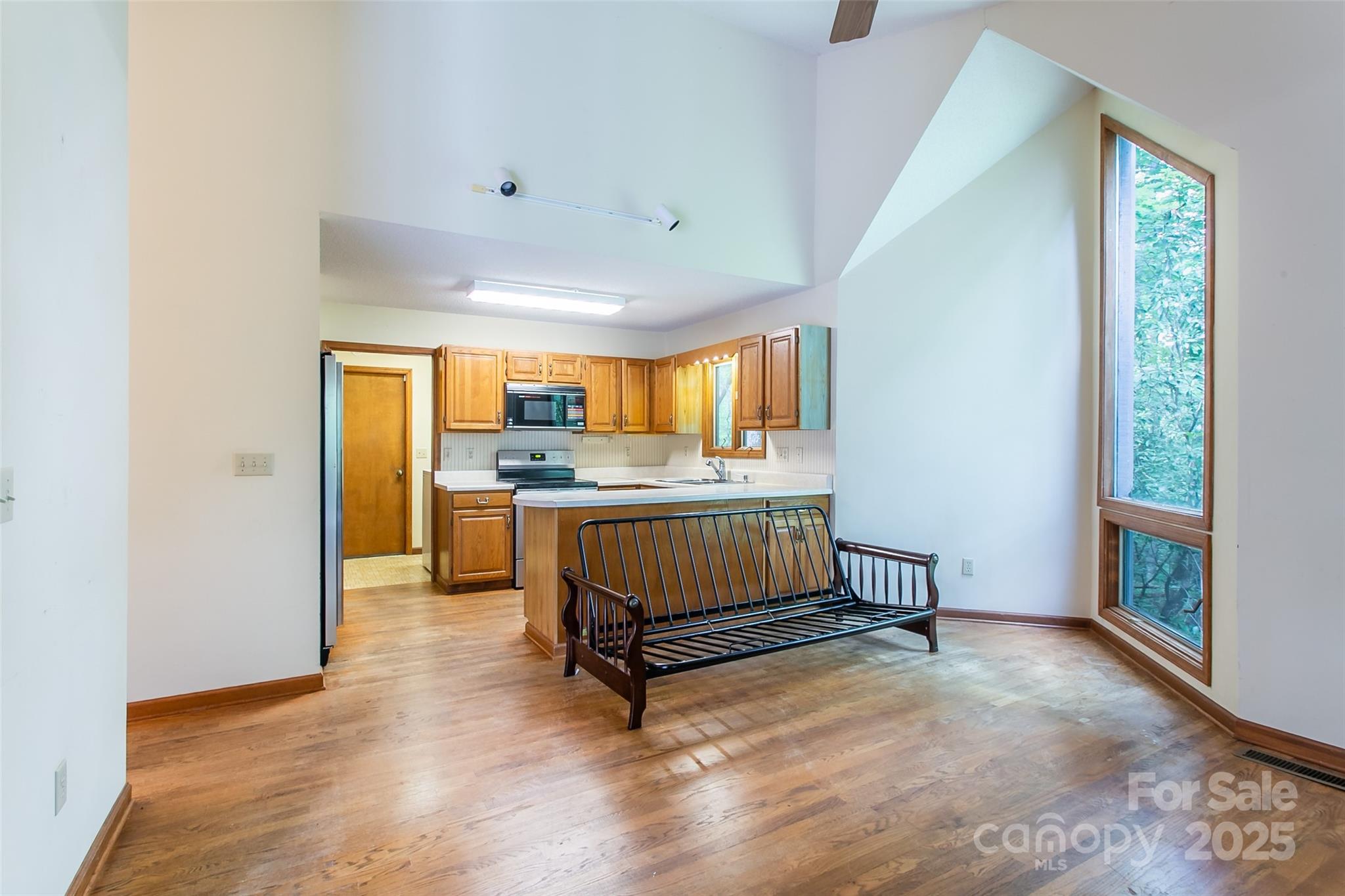 47 Tsitsi Court Brevard NC 28712
