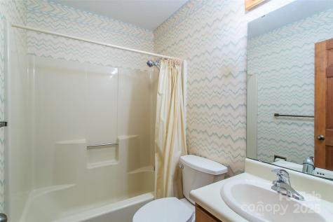 47 Tsitsi Court Brevard NC 28712