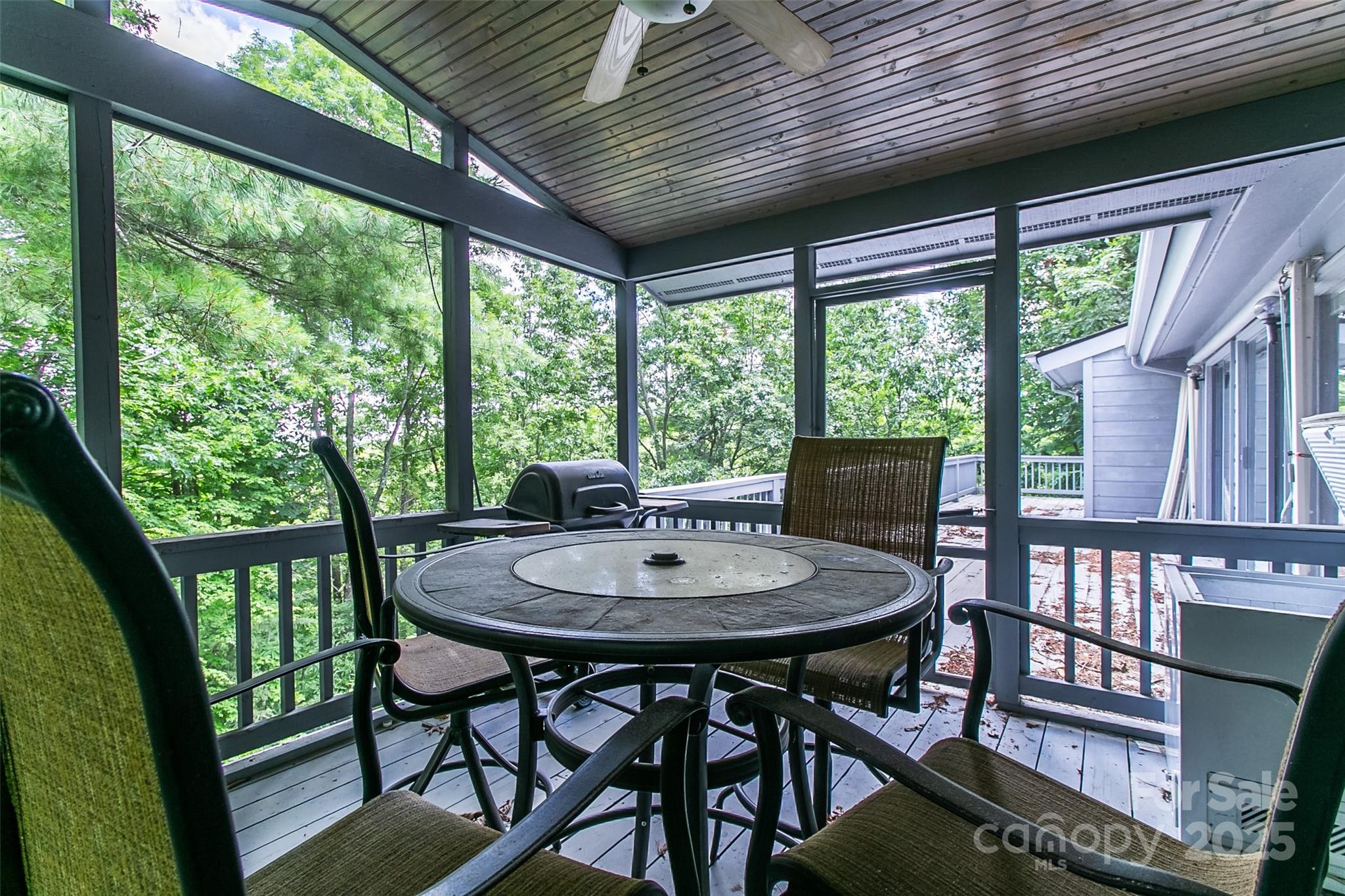 47 Tsitsi Court Brevard NC 28712