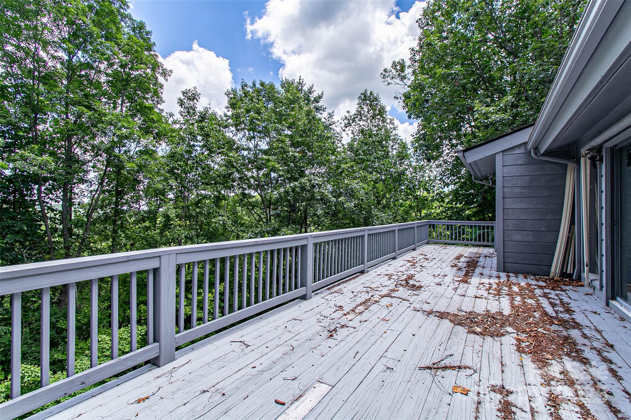 47 Tsitsi Court Brevard NC 28712