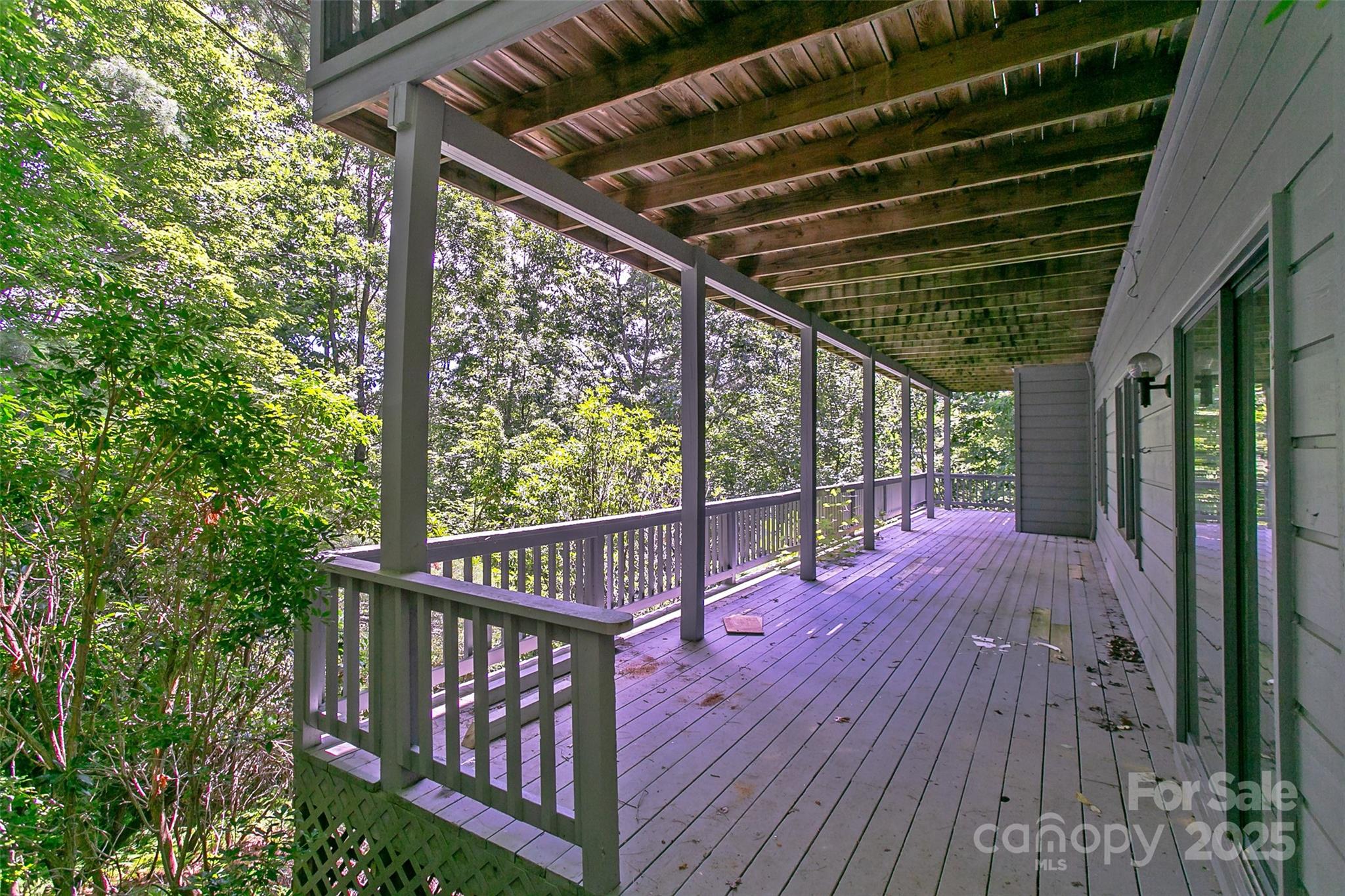 47 Tsitsi Court Brevard NC 28712