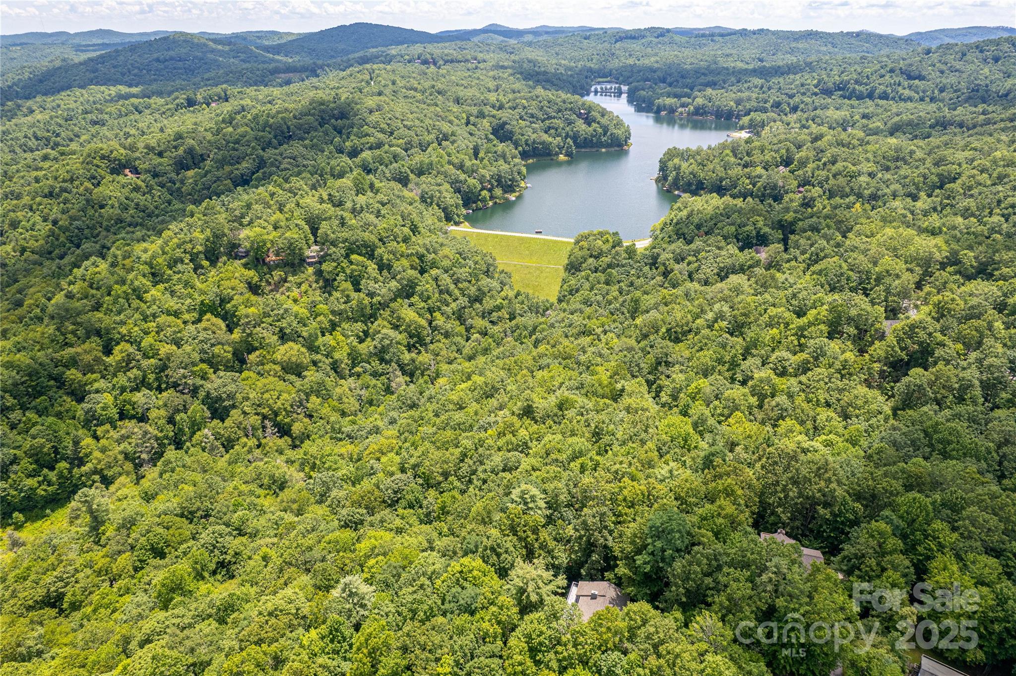 47 Tsitsi Court Brevard NC 28712