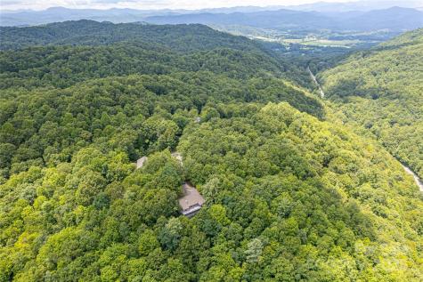 47 Tsitsi Court Brevard NC 28712