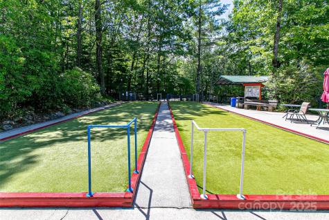 47 Tsitsi Court Brevard NC 28712