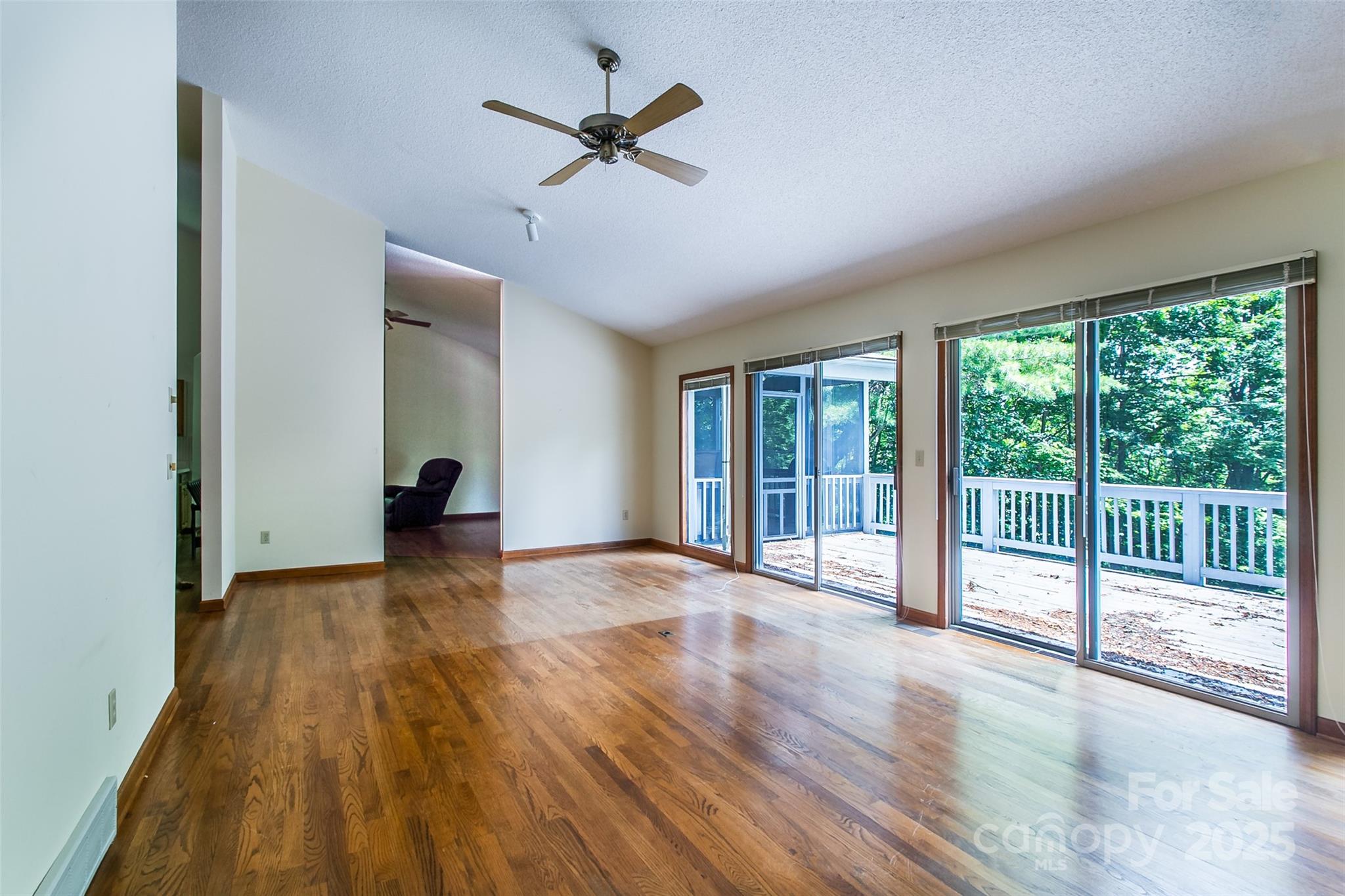 47 Tsitsi Court Brevard NC 28712