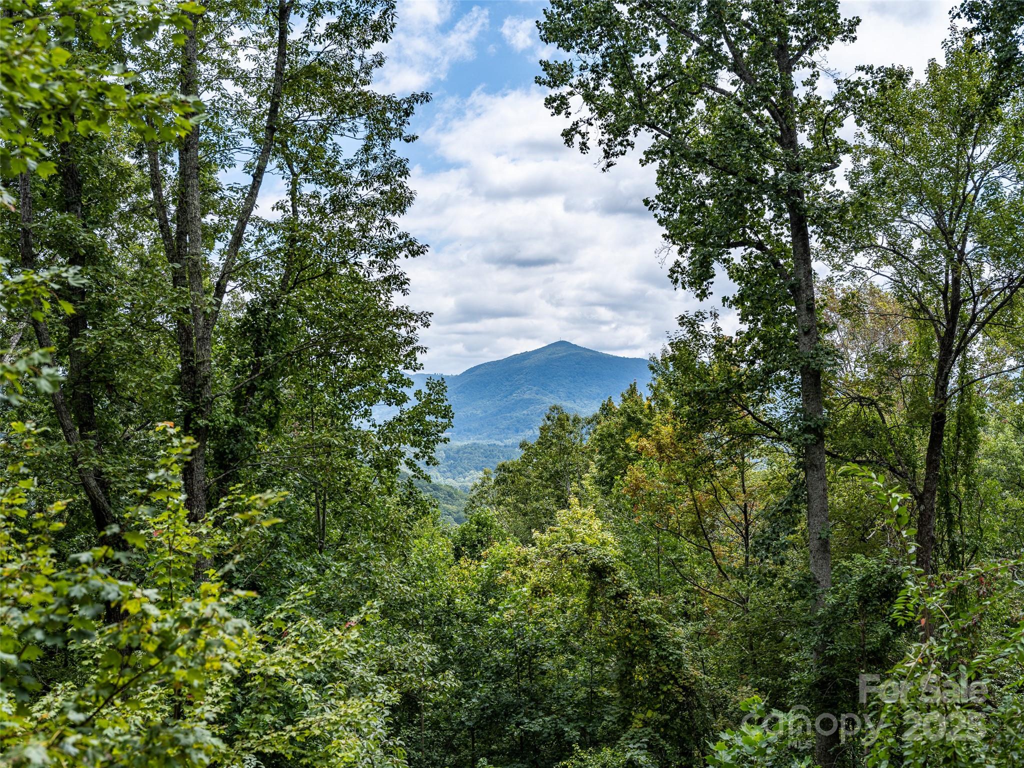 110 Weeping Cherry Forest Road Fairview NC 28730