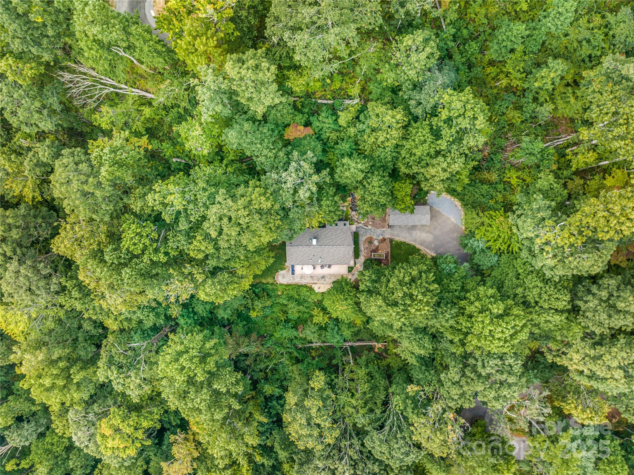 110 Weeping Cherry Forest Road Fairview NC 28730