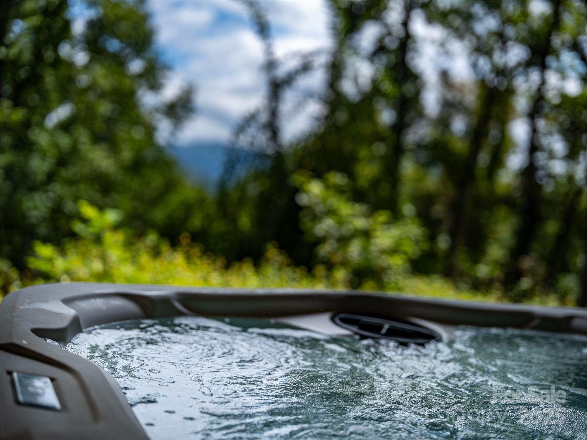 110 Weeping Cherry Forest Road Fairview NC 28730