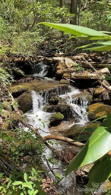 110 Weeping Cherry Forest Road Fairview NC 28730