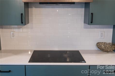 1006 Padgett Place Black Mountain NC 28711