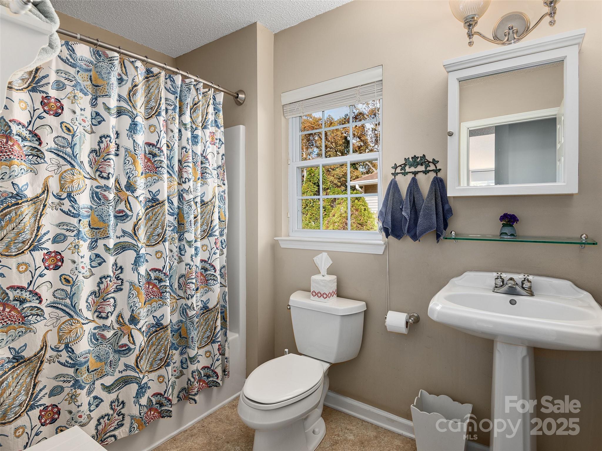 111 Wildwood Forest Lane Mills River NC 28759