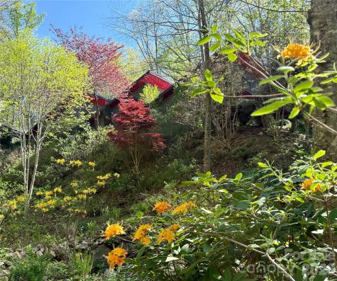 33 Robinson Creek Road Asheville NC 28803