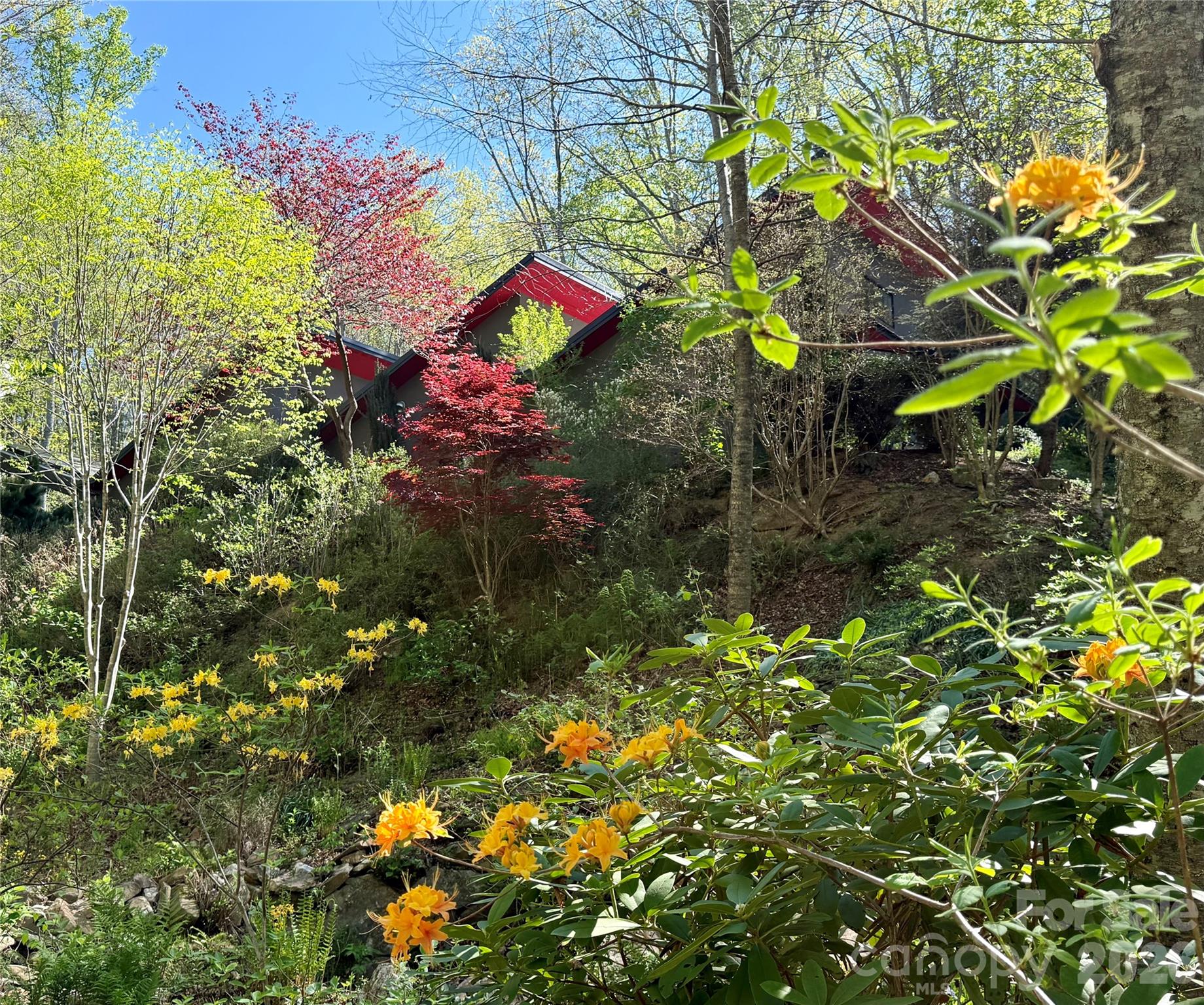 33 Robinson Creek Road Asheville NC 28803