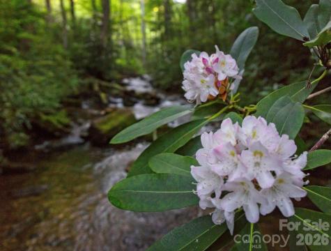 33 Robinson Creek Road Asheville NC 28803