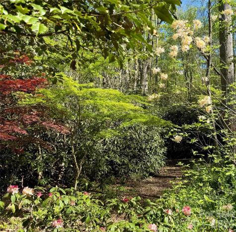 33 Robinson Creek Road Asheville NC 28803