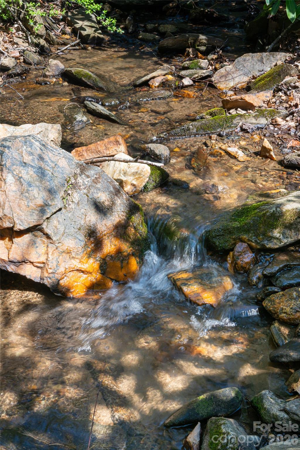 33 Robinson Creek Road Asheville NC 28803