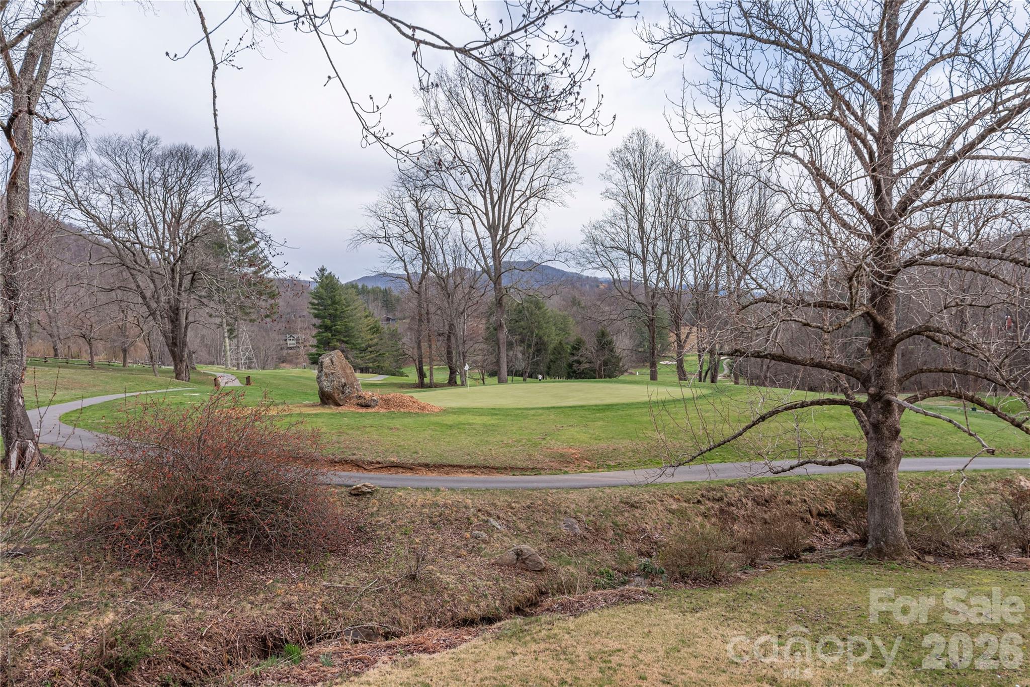 85 Dawn Lane Canton NC 28716