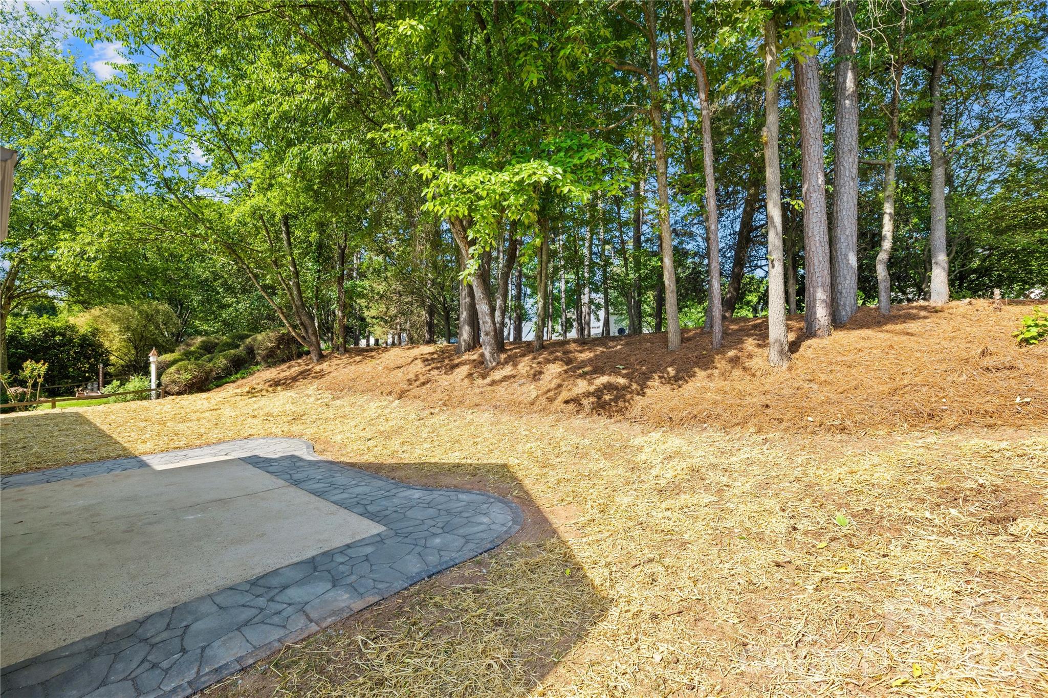 20236 Colony Point Lane Cornelius NC 28031