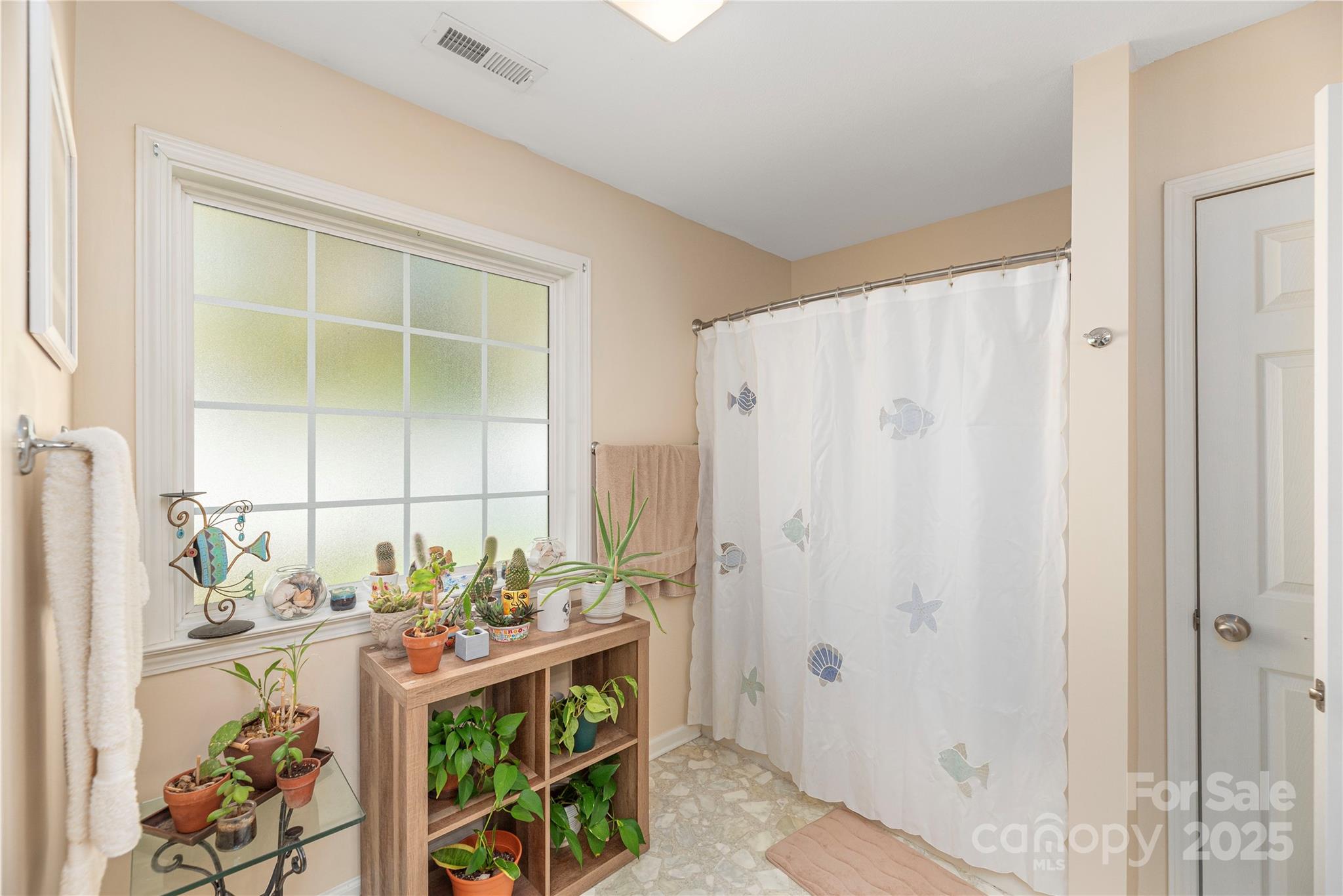 20 Ridgeland Lane Asheville NC 28805