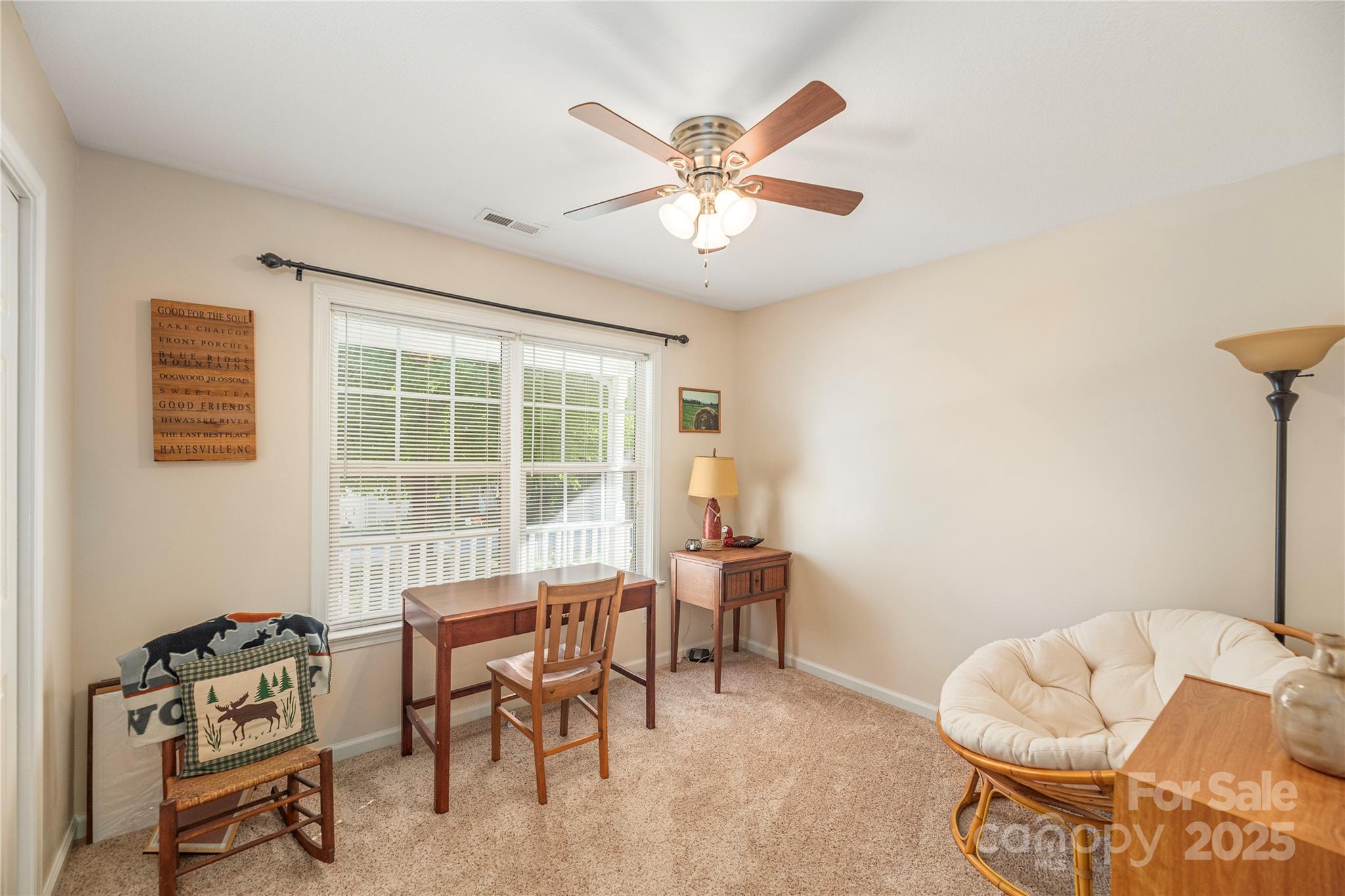 20 Ridgeland Lane Asheville NC 28805