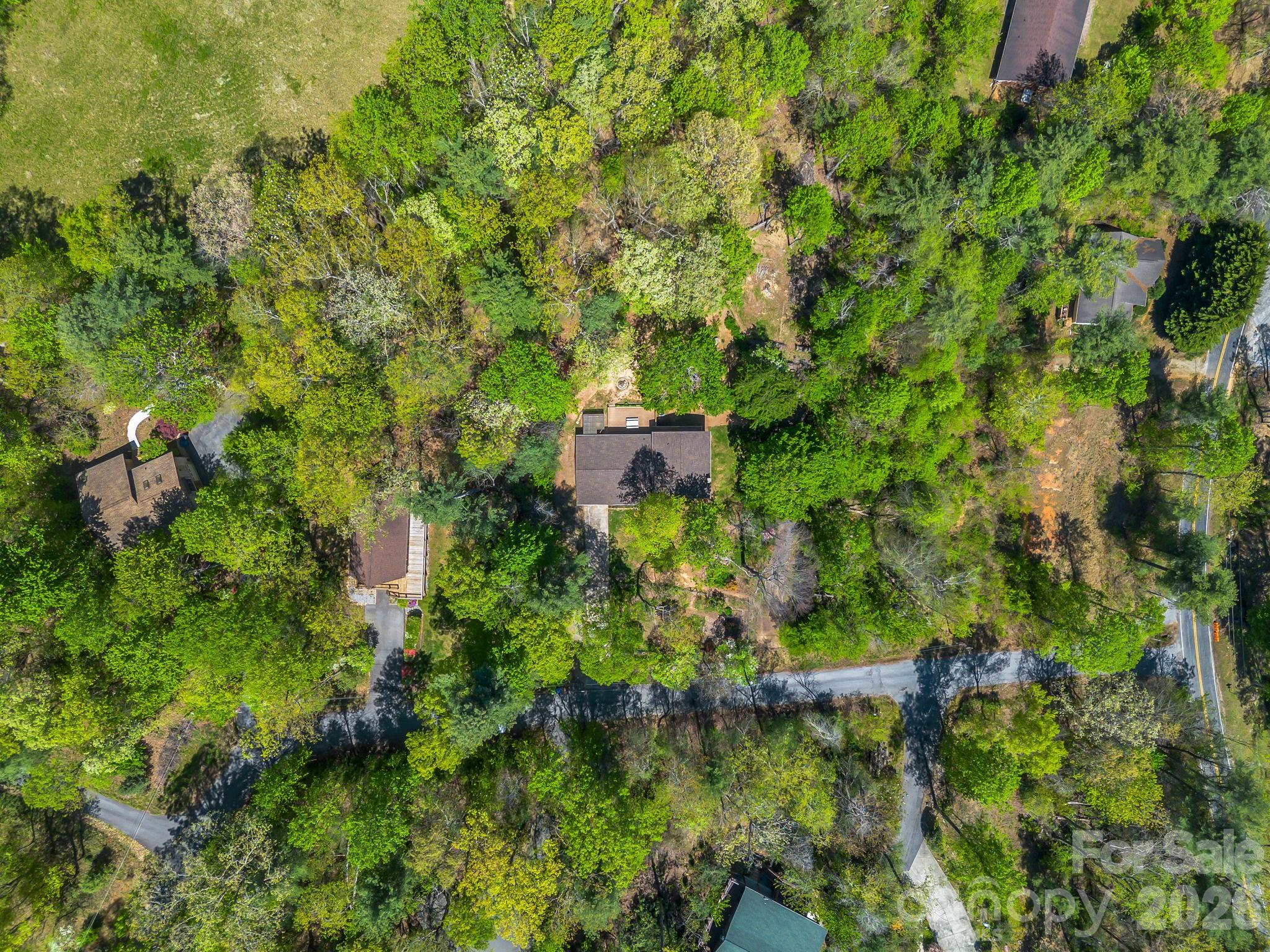 31 Firefly Lane Saluda NC 28773