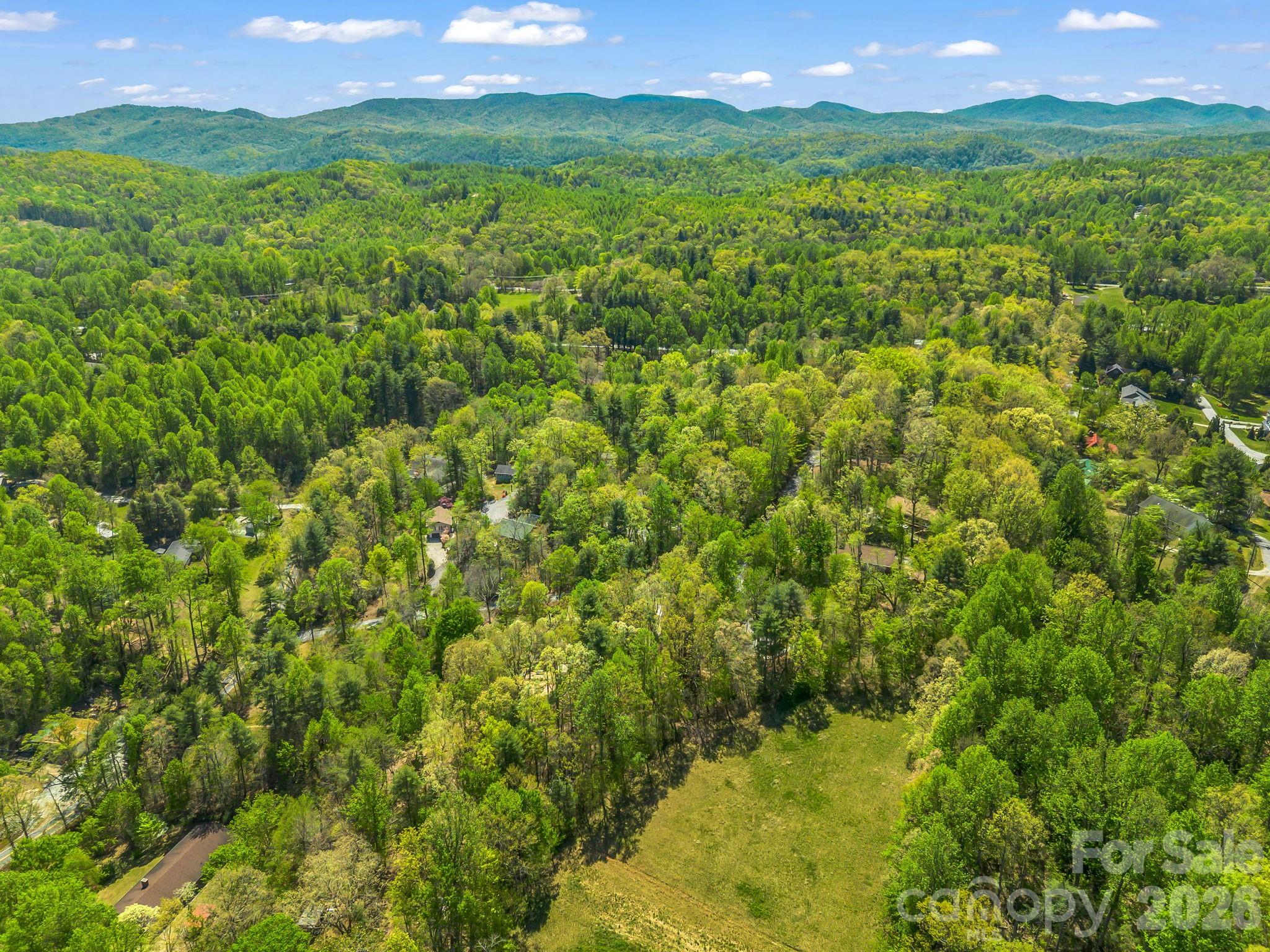 31 Firefly Lane Saluda NC 28773