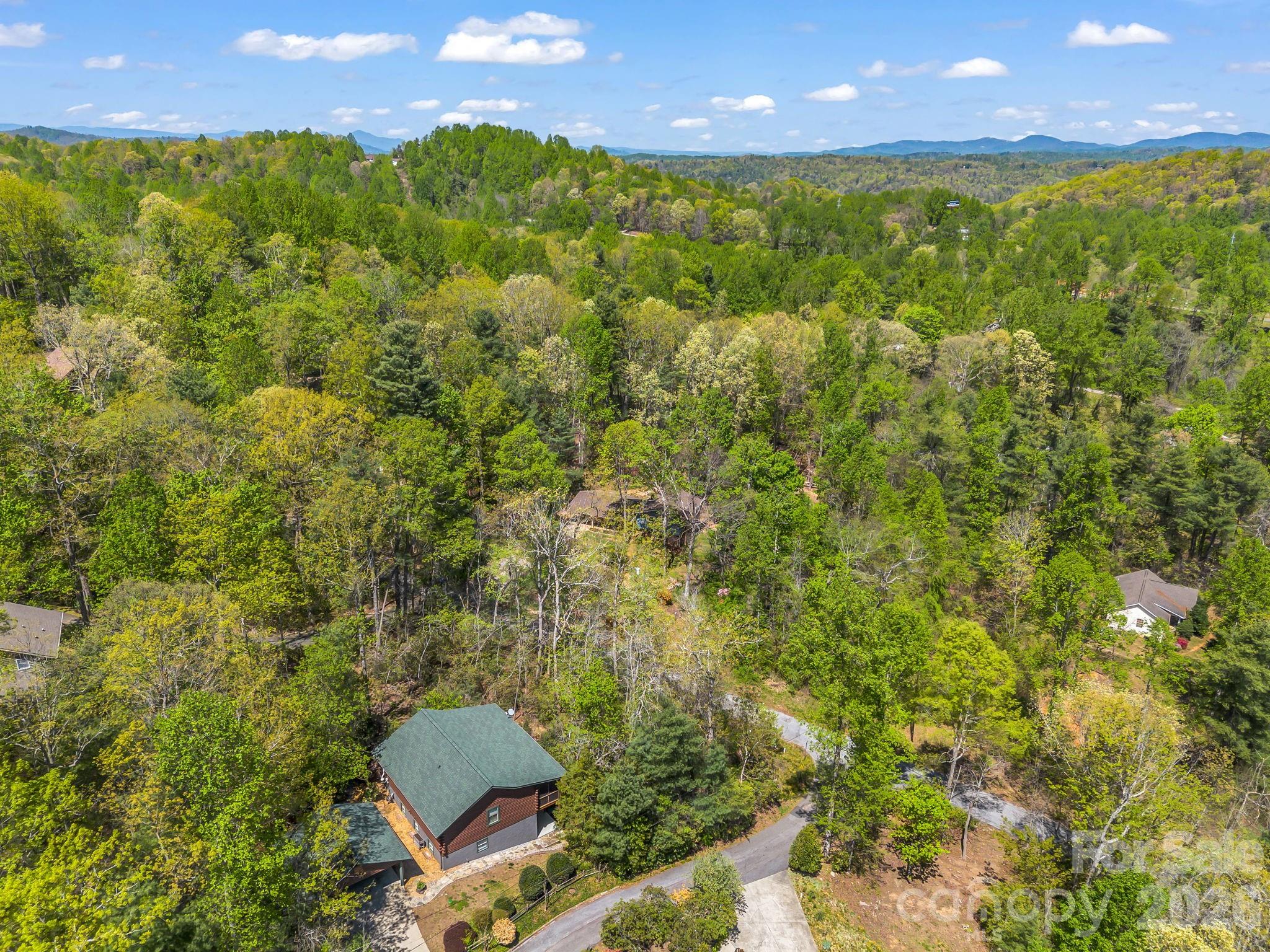 31 Firefly Lane Saluda NC 28773