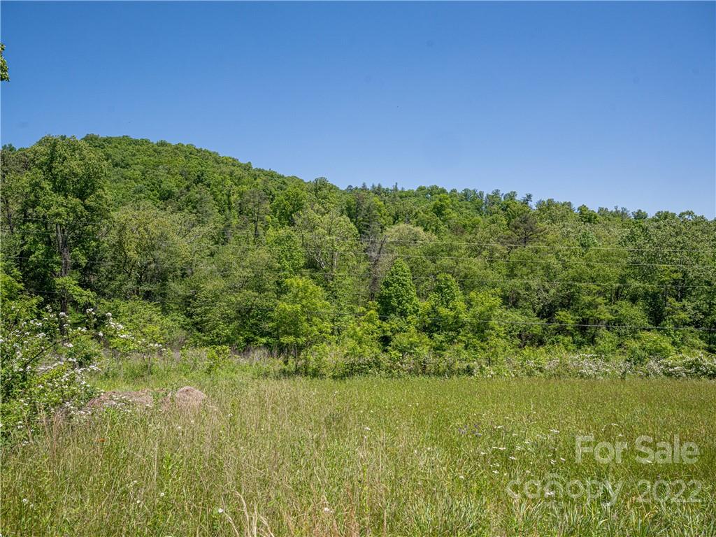 99999 Merrills Cove Road Asheville NC 28803