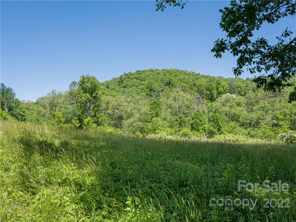 99999 Merrills Cove Road Asheville NC 28803